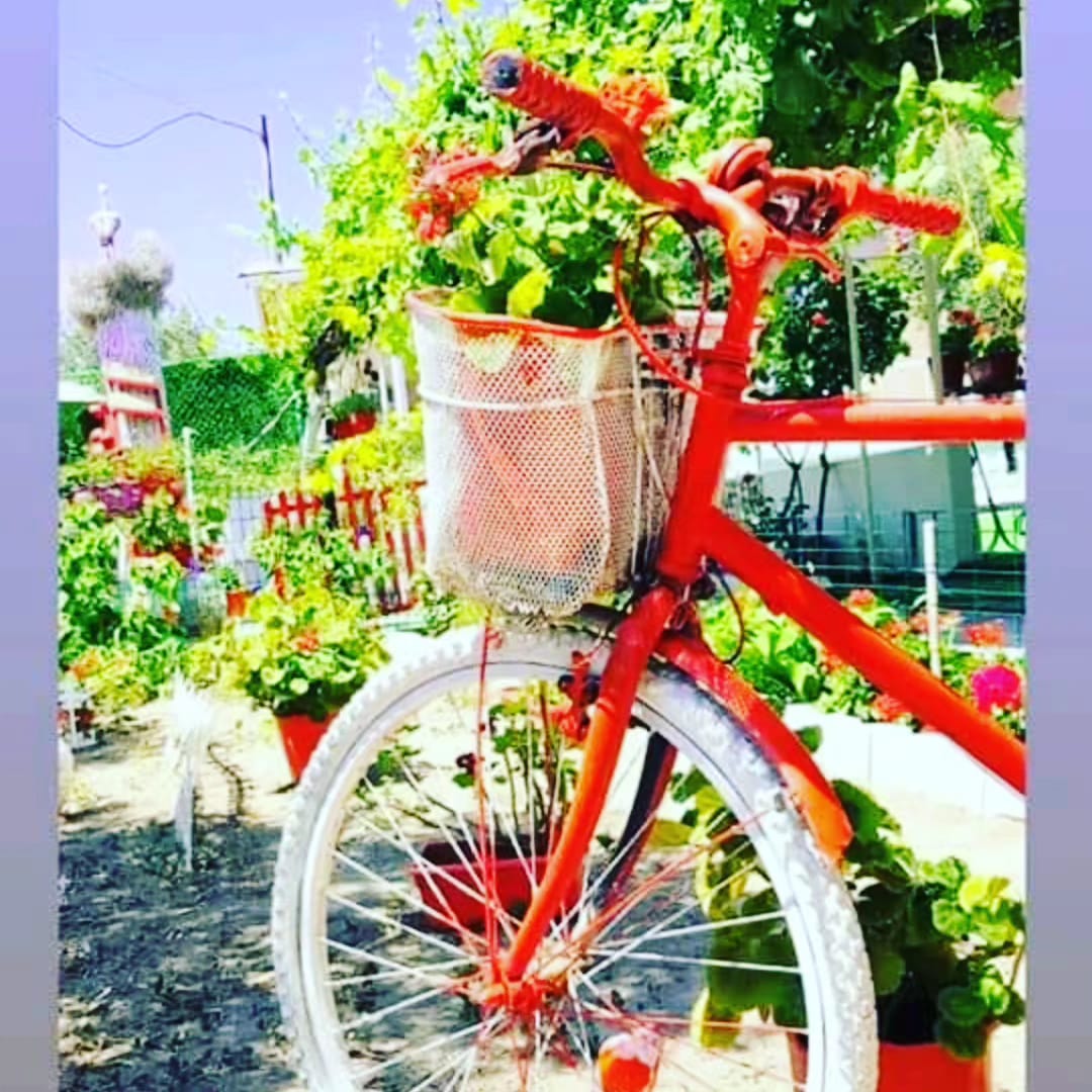 Hülya Apart Daire 15