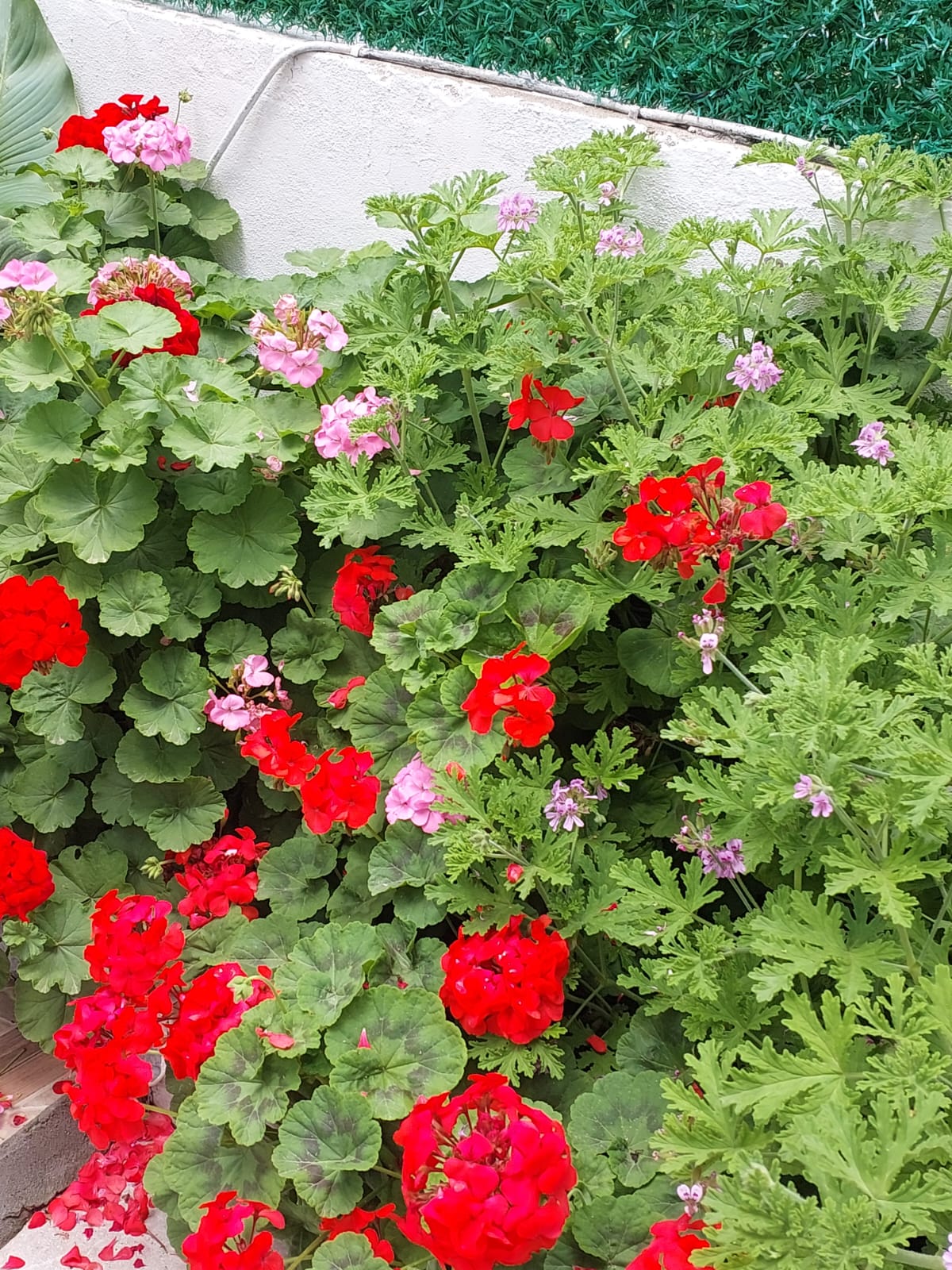 Hülya Apart Daire 18