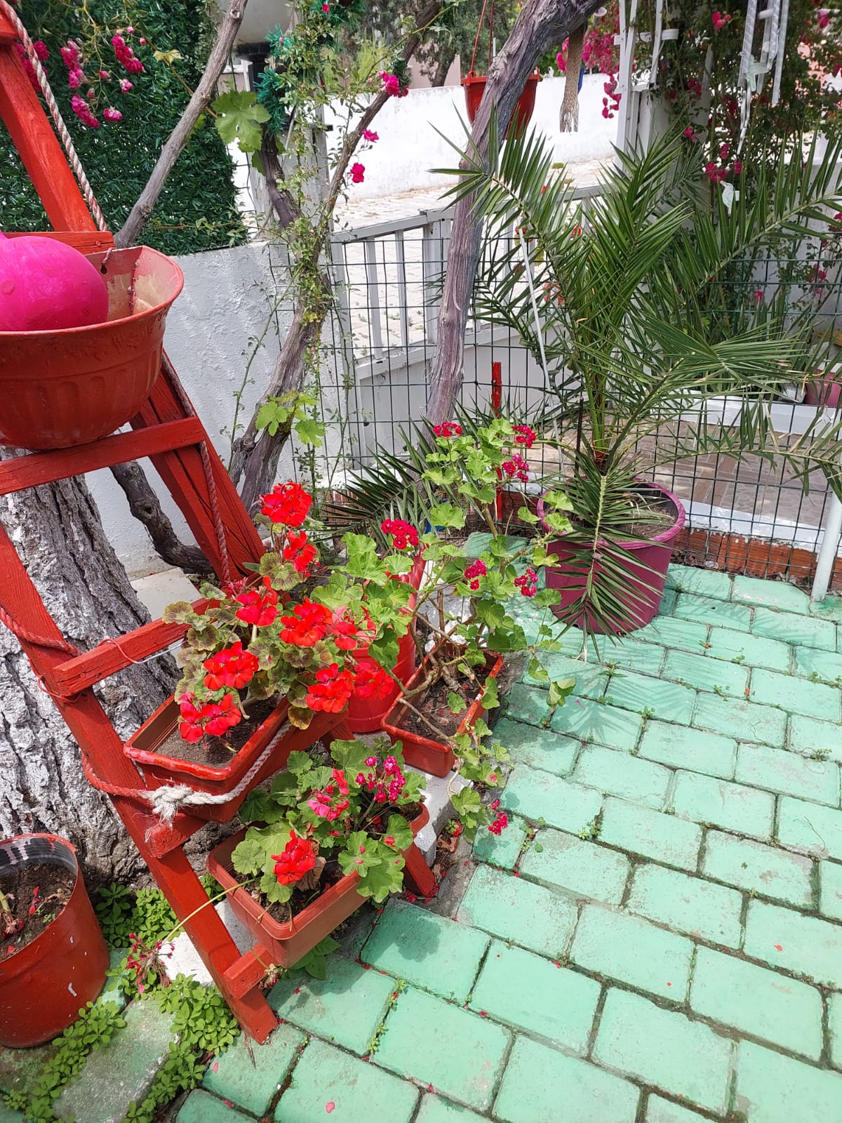 Hülya Apart Daire 22