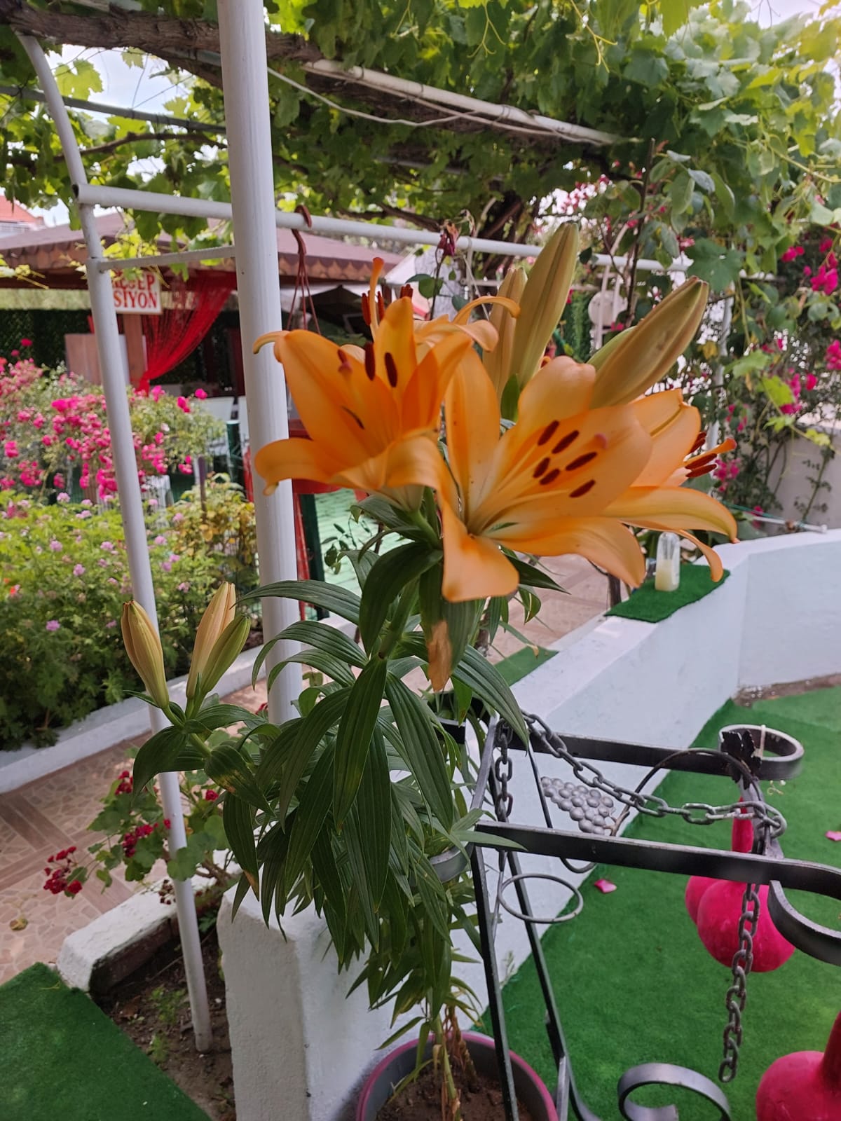 Hülya Apart Daire 23