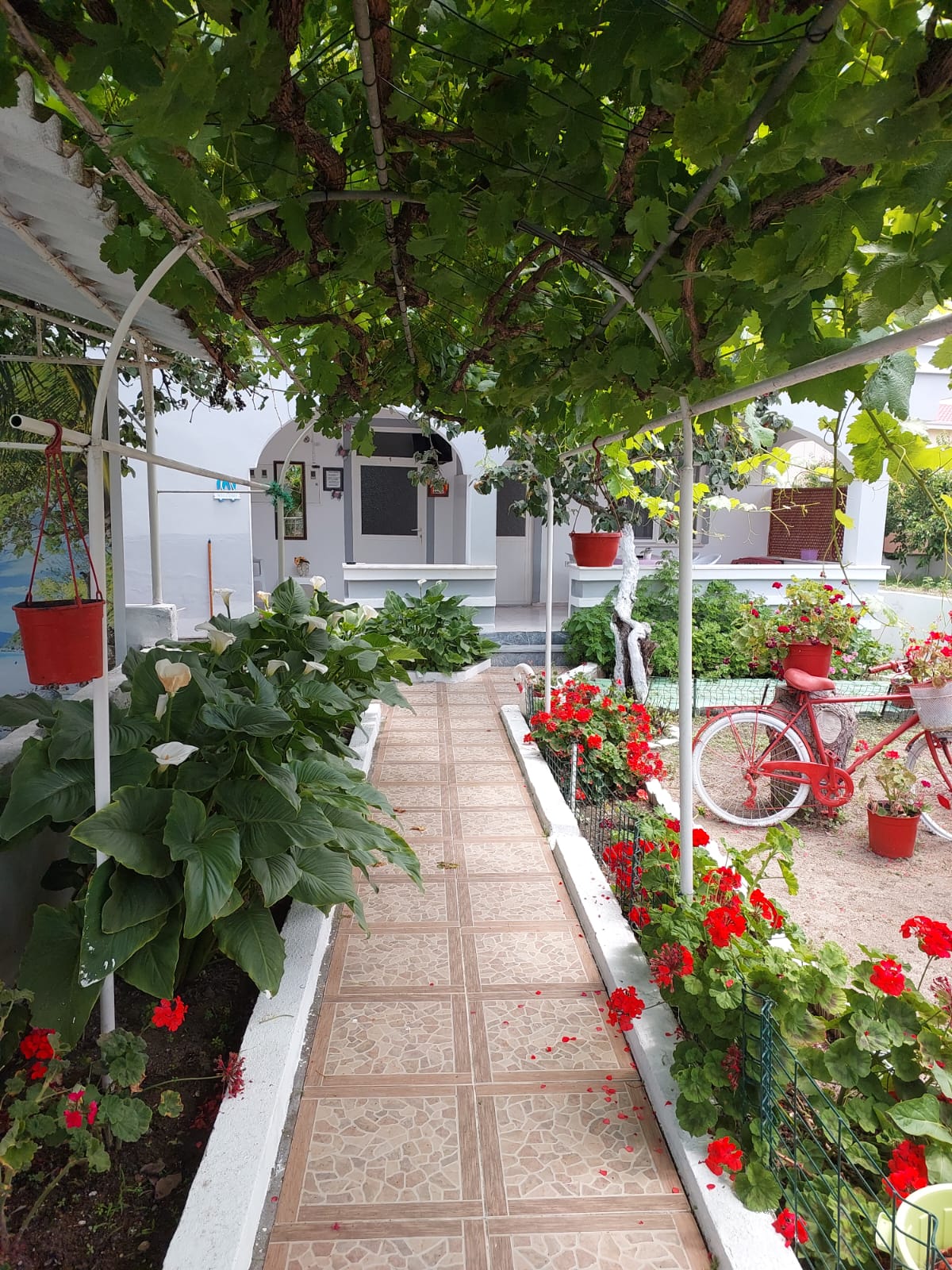 Hülya Apart Daire 26