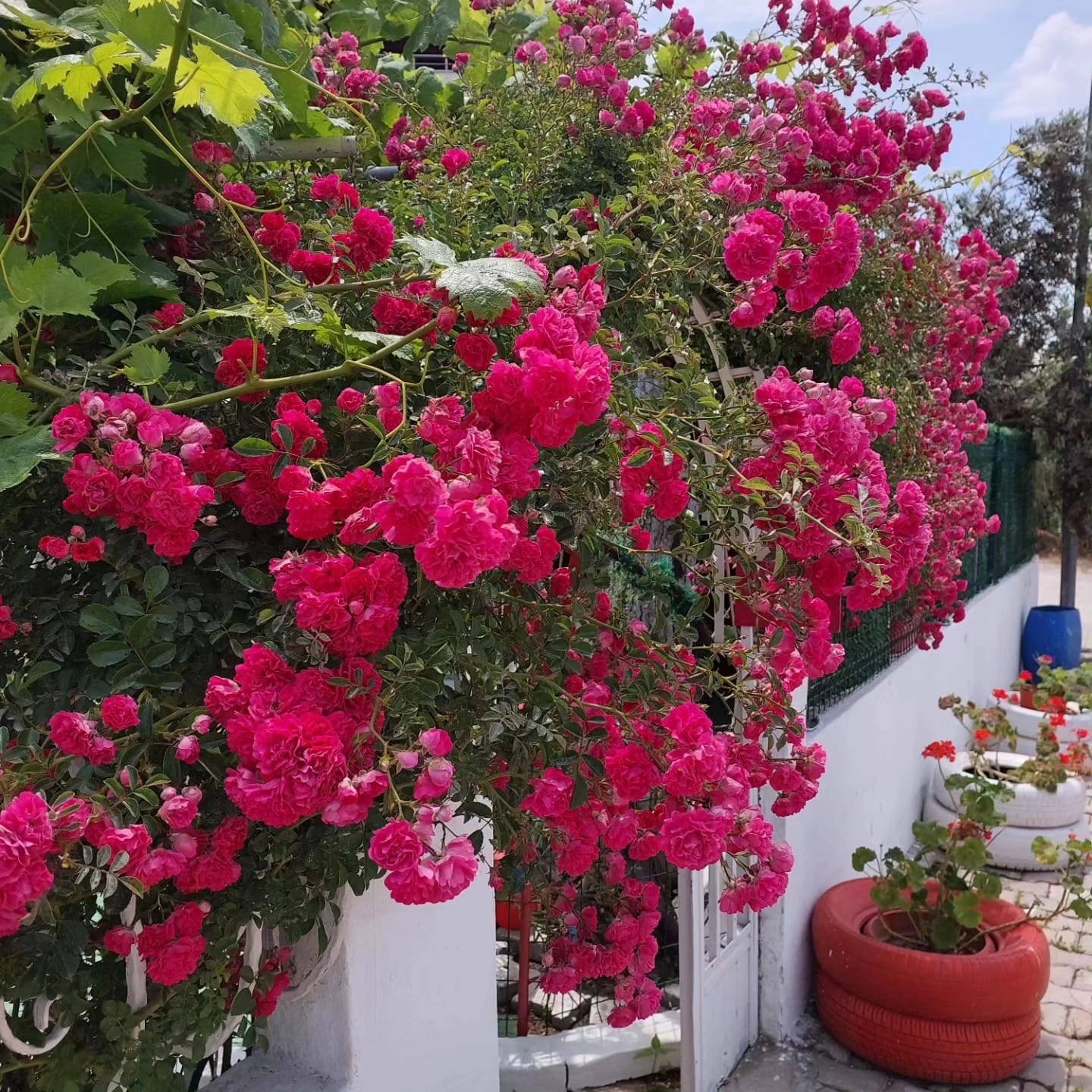 Hülya Apart Daire 4