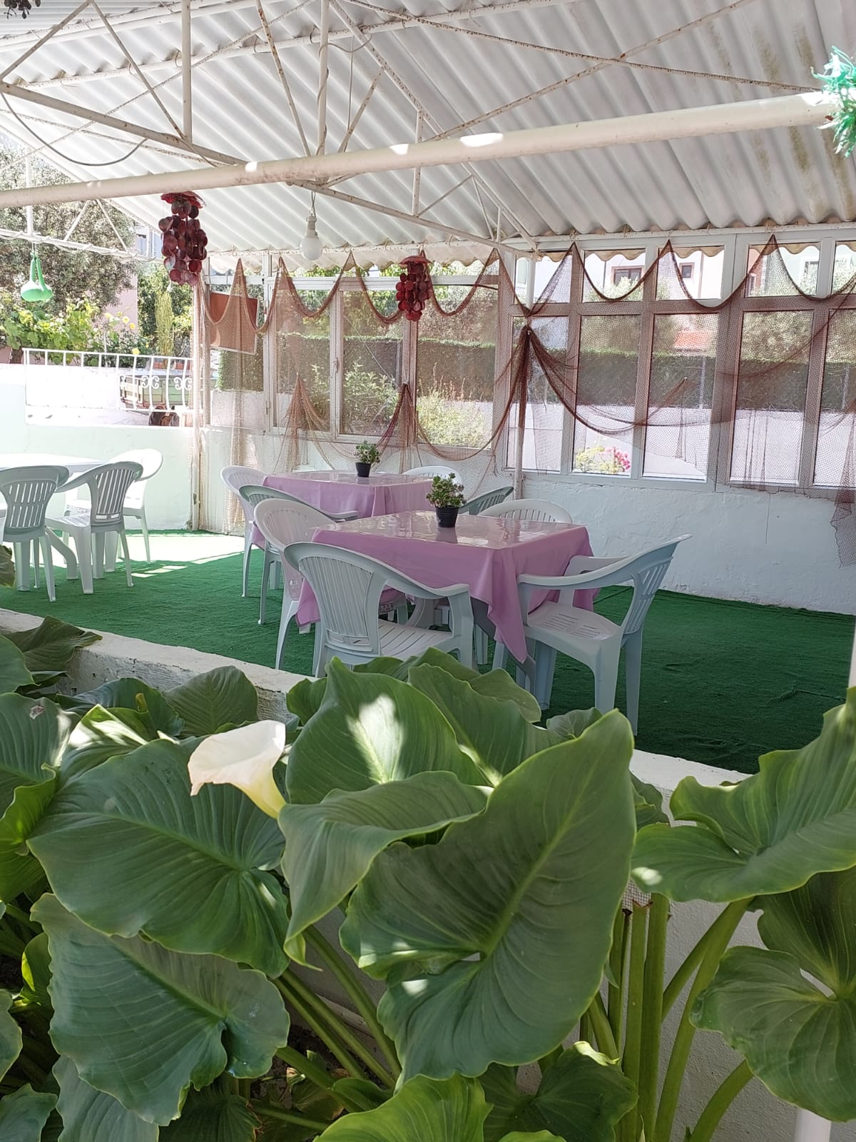 Hülya Apart Daire 10